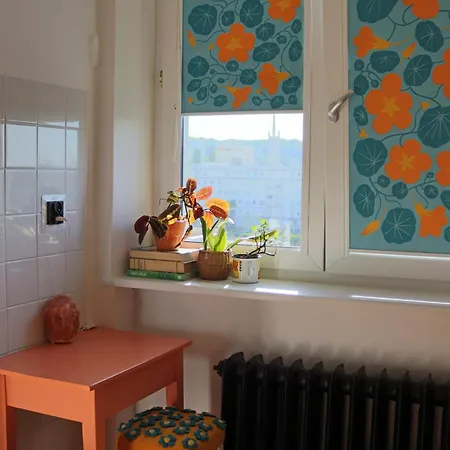 Kwiat Paproci Design Apartmán *